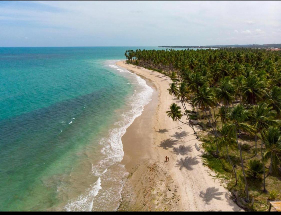 Praia Dos Carneiros Eco Resort Luxuoso 타만다레 외부 사진